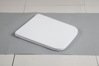 Сиденье для унитаза WW SK  Арт. WW 010 GL-WT 10000003670